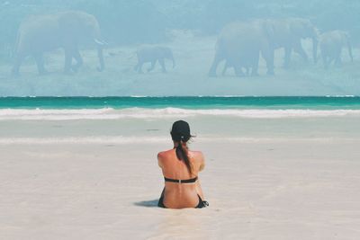 Rear view of woman on beach