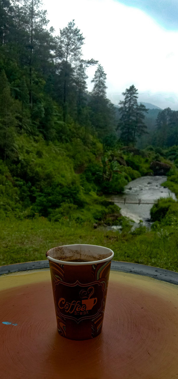 tree, plant, drink, food and drink, nature, refreshment, forest, no people, land, tea, cup, mountain, green, hot drink, coniferous tree, day, pinaceae, sky, mug, environment, pine tree, water, outdoors, table, tranquility, beauty in nature, scenics - nature