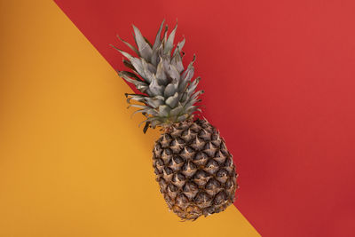 Directly above shot of pineapple over colored background