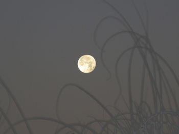 Low angle view of moon against sky at night