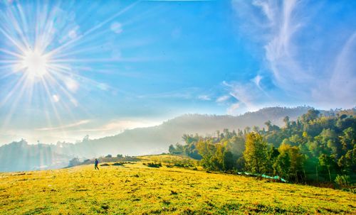 Scenic view of field against sky