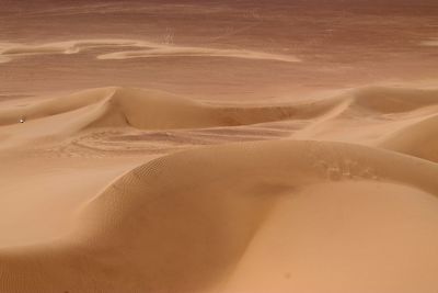 Scenic view of sahara desert