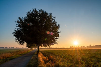 Scenic view of field against sky during sunset