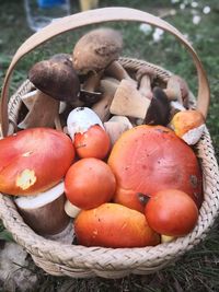 High angle view of mushrooms in basket