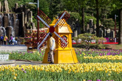 Man standing by traditional windmill sculpture in park