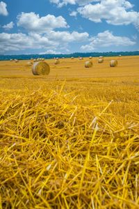 Hay bales on field against sky