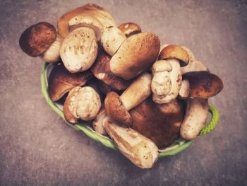 Mushrooms in autumn