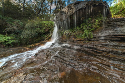 View of waterfall in forest