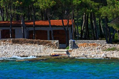 Scenic view of sea against trees