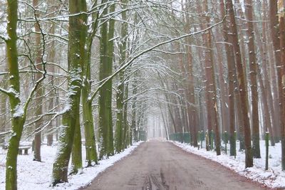 Road amidst trees in forest during winter