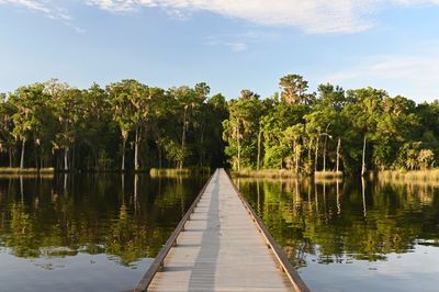 Scenic view of lake by trees against sky