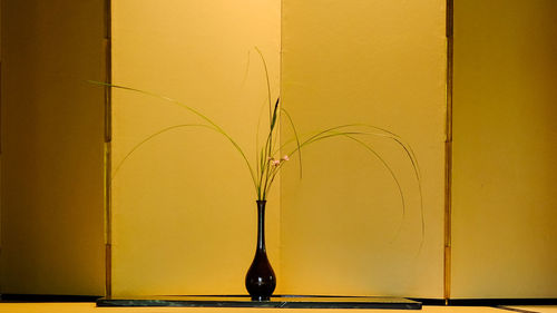 Close-up of vase in front of screen partition