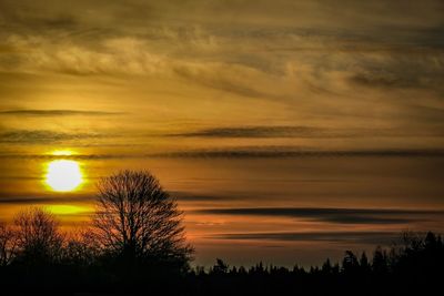 Silhouette trees against dramatic sky during sunset