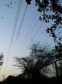 Low angle view of birds in flight