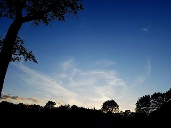 Low angle view of silhouette trees against blue sky