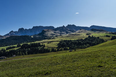 Scenic view of field against clear blue sky