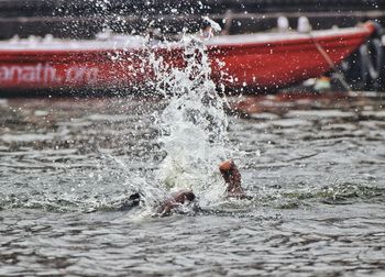 Bird splashing water in lake