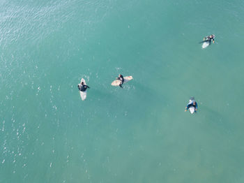 High angle view of people surfing in sea