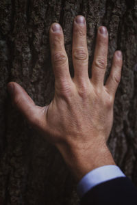 Hand touching tree bark