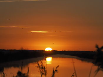 Silhouette birds flying over lake against sky during sunset