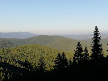 Scenic view of landscape against clear sky