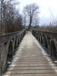 Empty footbridge along bare trees
