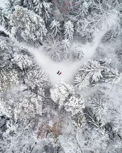 Person skiing on snow covered land