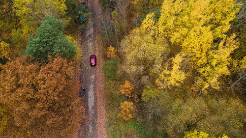 High angle view of road amidst trees during autumn