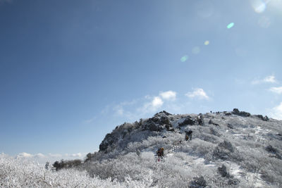 Low angle view of people hiking snow covered mountain