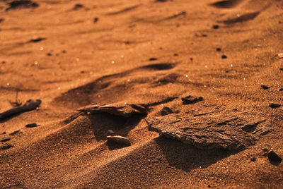 High angle view of sand on field