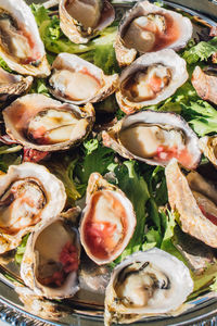 Oysters on the half shell with mignonette sauce