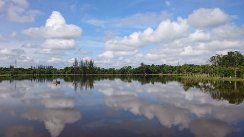 Reflection of trees in calm lake