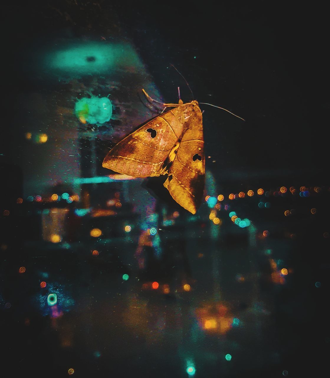 CLOSE-UP OF FISH SWIMMING IN SEA SEEN THROUGH GLASS