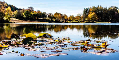 Scenic view of lake