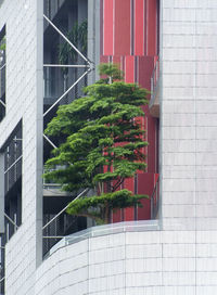 Plants growing outside building