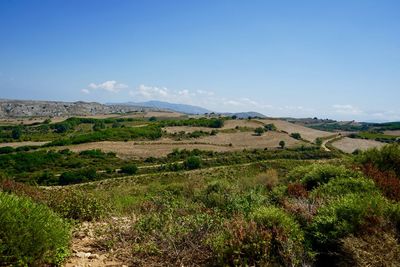 Scenic view of field against blue sky