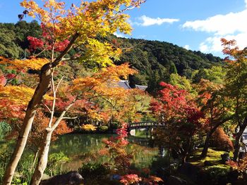 Scenic view of trees against sky