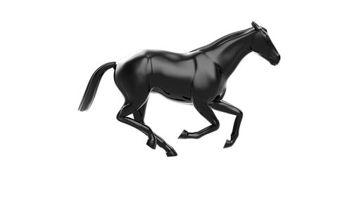 Side view of a horse against white background