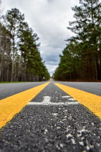 Surface level of road against trees