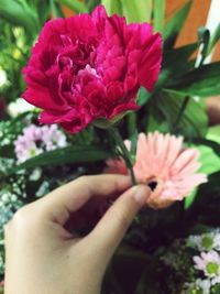 Cropped image of woman holding pink flower