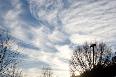 Low angle view of silhouette bare trees against sky