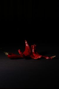 Close-up of red chili pepper against black background