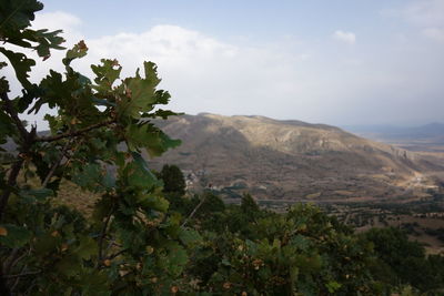 Scenic view of tree mountains against sky