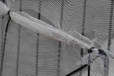 Close-up of snow on fence