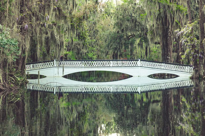 Arch bridge over lake in forest