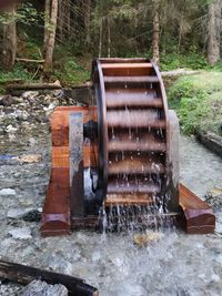 Built structure in water against trees in forest