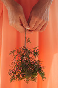 Close-up of hand on plant