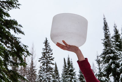 Low angle view of person holding umbrella against trees