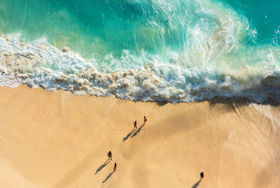 High angle view of starfish on beach