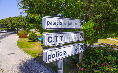 Information sign on road by trees